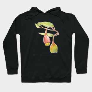 Fuchsia gum - Eucalyptus forrestiana Hoodie